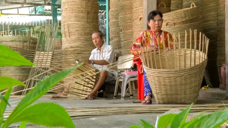 Nghề đan đát tại xã Vĩnh Phú Đông, huyện Phước Long, tỉnh Bạc Liêu giúp lao động địa phương yên tâm ở lại với xóm làng, không phải đi làm ăn xa. Ảnh: Phương Bằng