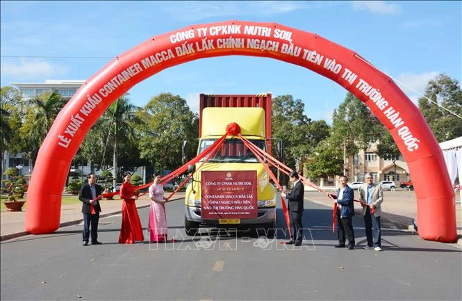 Container mắc ca Đắk Lắk chính ngạch đầu tiên xuất khẩu đi thị trường Hàn Quốc.
