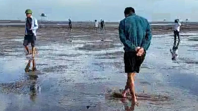 Các cơ quan chức năng của huyện Thái Thụy và lãnh đạo xã Thái Đô (tỉnh Thái Bình) đi kiểm tra ngao chết ngày 11/9. (Ảnh cắt từ clip)