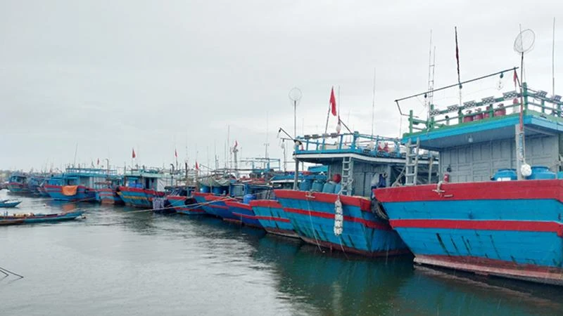 Tàu thuyền di chuyển vào cảng Tam Quang (huyện Núi Thành) tránh bão số 4.