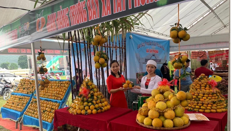 Các gian hàng bày bán Cam Cao Phong và các loại hoa quả khác tại lễ hội.