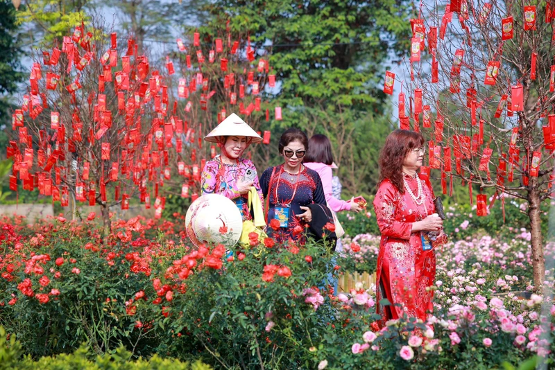 Du khách náo nức tham quan một đường hoa xuân Hà Nội. (Ảnh: Home Hanoi Xuan)