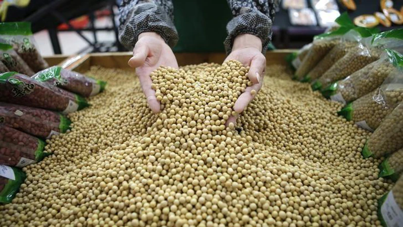 Ảnh minh họa. (Nguồn: Reuters)