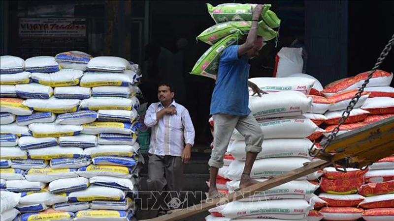 Công nhân vận chuyển gạo tại khu chợ ở Bangalore, Ấn Độ. (Ảnh tư liệu: AFP/TTXVN)