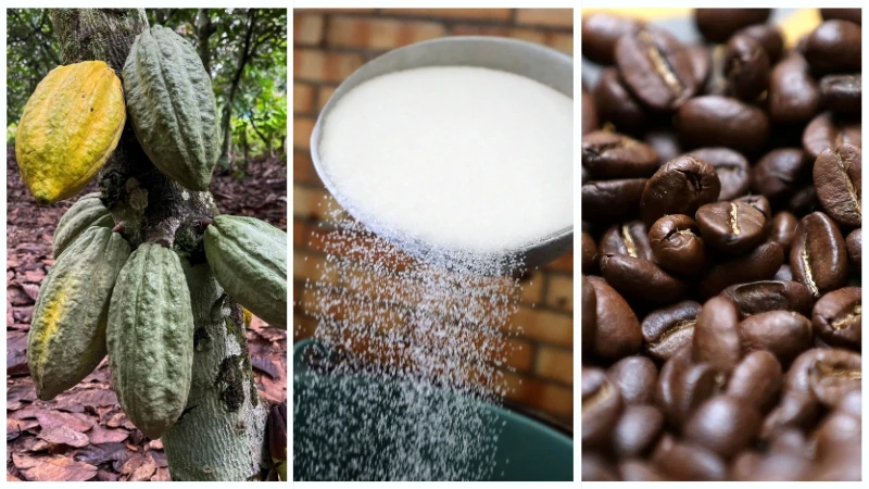 Giá ca-cao, đường, cà-phê giảm mạnh, cản trở đà hồi phục của chỉ số giá hàng hóa.