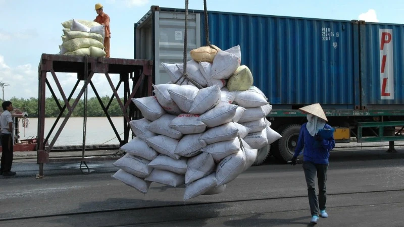 Việt Nam sắp có lô hàng gạo xuất khẩu sang Bangladesh.