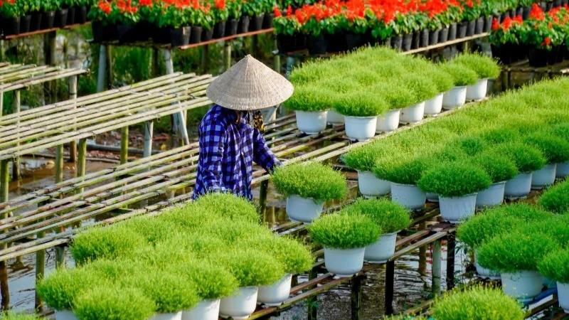 Du lịch gắn với nông thôn mới, nâng cao thu nhập người dân