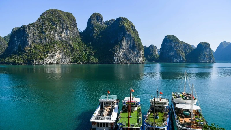 Ảnh minh họa: THÀNH ĐẠT