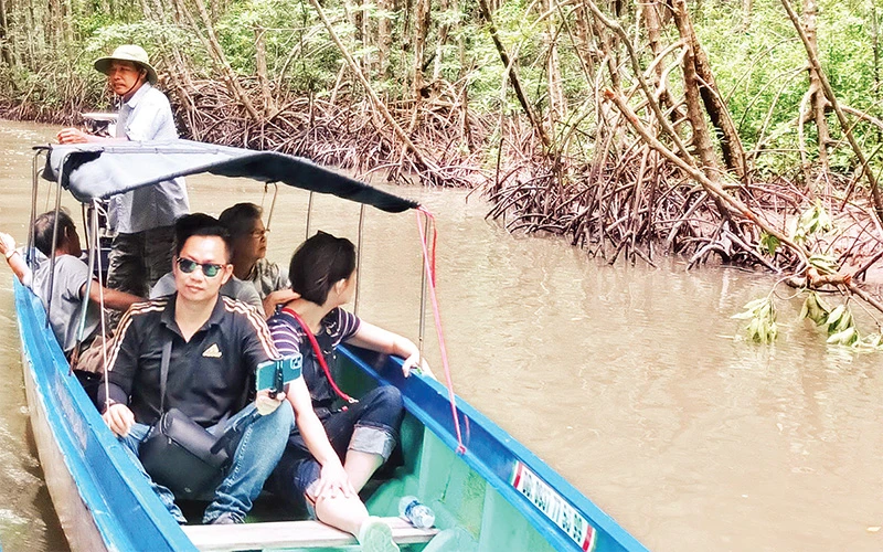 Khách du lịch tham quan rừng ngập mặn Cà Mau. (Ảnh LAN ANH) 
