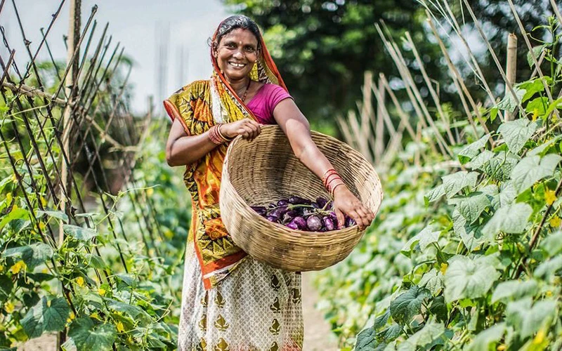 Các dự án nông nghiệp giúp xóa đói, giảm nghèo ở khu vực nông thôn của Nepal. (Ảnh ADB) 