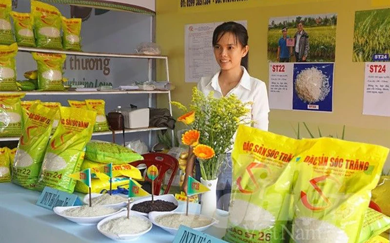 Sản phẩm gạo ST24 do nhóm nhà khoa học của tỉnh Sóc Trăng lai tạo, phát triển. 