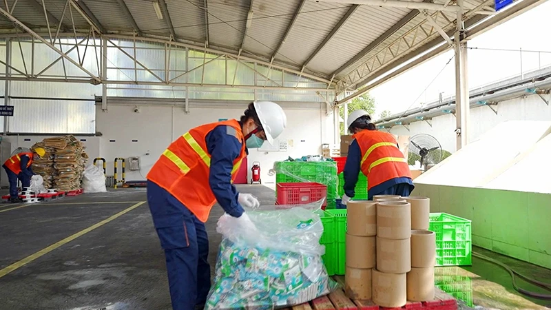 Phân loại rác thải tại nhà máy sữa của Friesland Campina Việt Nam. (Ảnh VÕ HÙNG) 