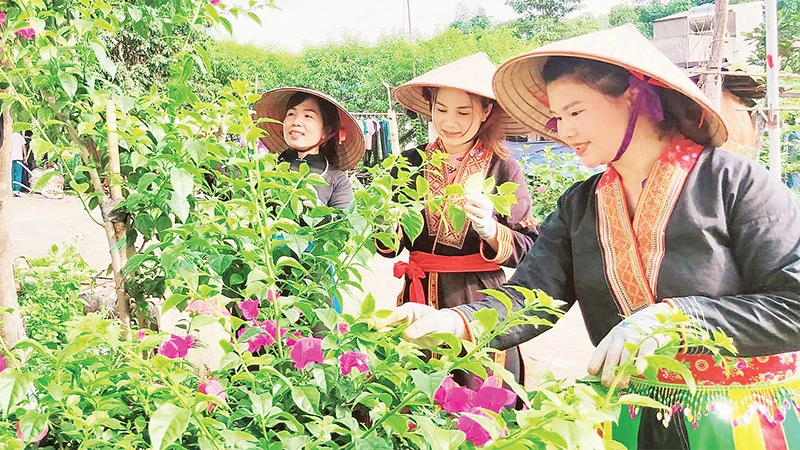 Diện mạo nông thôn của Ba Chẽ đã thay đổi rõ nét, đời sống của nhân dân ngày càng được nâng lên. 