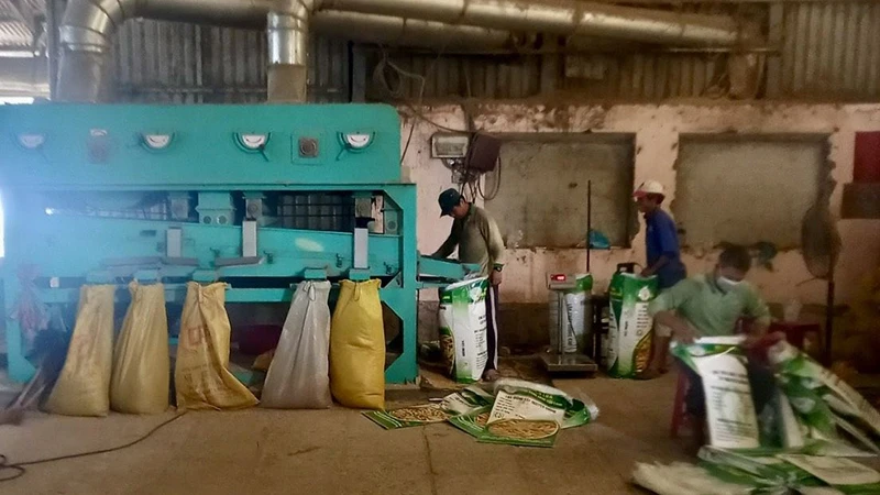 Hợp tác xã Khiết Tâm (thành phố Cần Thơ) áp dụng khoa học kỹ thuật vào sản xuất, chế biến lúa, gạo. 
