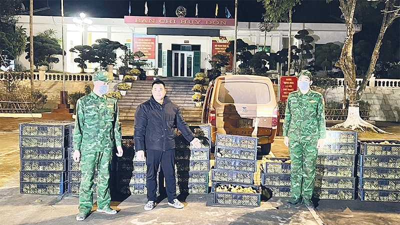 Ðồn Biên phòng Bắc Sơn phối hợp Phòng phòng chống ma túy và tội phạm (Bộ Chỉ huy Bộ đội Biên phòng Quảng Ninh) bắt giữ đối tượng vận chuyển trái phép gần 6.000 con gia cầm giống ngày 27/2/2024. 