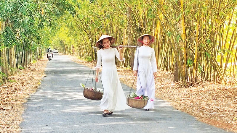 Ðường tre tại rừng tràm Gáo Giồng, huyện Cao Lãnh, tỉnh Ðồng Tháp. 