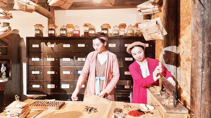 Giới thiệu về nghề thuốc phố Lãn Ông trong khuôn khổ Chương trình Giữ nghề xưa trên phố do Ban Quản lý phố cổ Hà Nội tổ chức. 