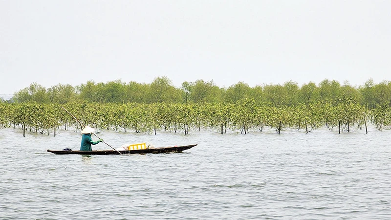 Người dân trên phá Tam Giang. 