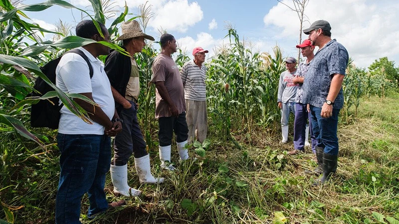 Các chuyên gia thảo luận với nông dân Cuba về giải pháp nông nghiệp. 