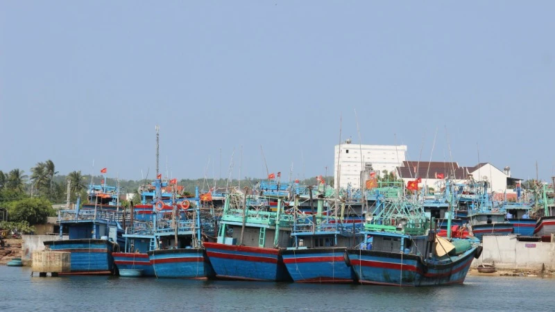 Bình Định đang siết chặt kiểm soát tàu cá, bảo đảm tất cả tàu thuyền khai thác đúng vùng được phép.