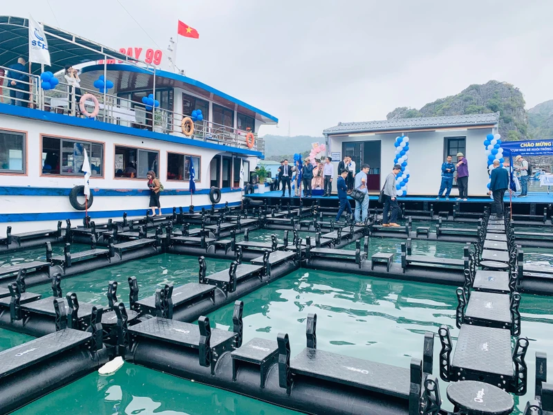 Cụm lồng bè nuôi trồng thủy sản thiết kế kiểu mới vừa hạ thủy trên biển Cát Bà.
