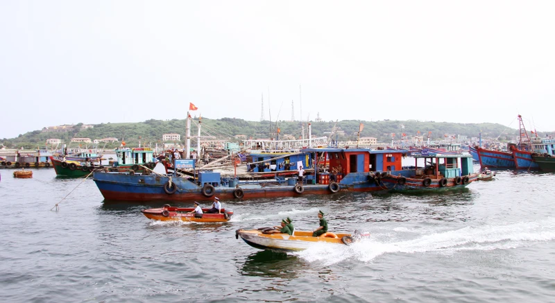 Các lực lượng chức năng tăng cường kiểm tra, kiểm soát các tàu khai thác hải sản trên khu vực biển Bạch Long Vĩ.