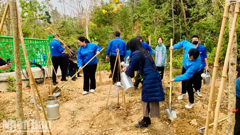 Tuổi trẻ Hải Phòng trồng cây trên đồi Thiên Văn (quận Kiến An).