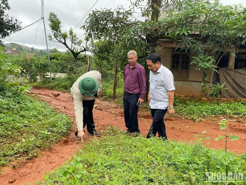 Lãnh đạo huyện Tuy Đức và xã Quảng trực kiểm tra hiện trường vụ nứt gãy địa chất.