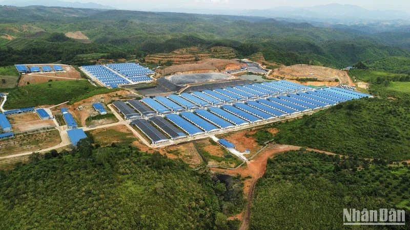 Công ty TNHH Chăn nuôi Quảng Sơn bị xử phạt hành chính 110 triệu đồng vì đã vi phạm các quy định về xả nước thải ra môi trường.