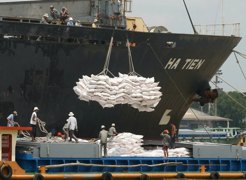 Năm 2025, do nguồn cung toàn cầu tăng cao, các doanh nghiệp xuất khẩu gạo Việt Nam cần chủ động mở rộng thị trường xuất khẩu. Ảnh: LÊ TOÀN