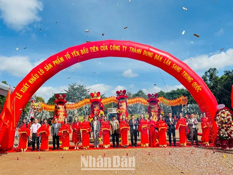 Các đại biểu cắt băng xuất khẩu chính ngạch lô sản phẩm tổ yến đầu tiên với sản lượng 400kg của Công ty cổ phần xuất nhập khẩu yến sào Thành Dung-Krông Pắc, tỉnh Đắk Lắk sang thị trường Trung Quốc.