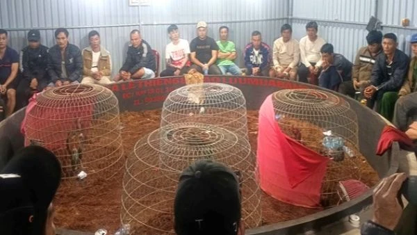 Cơ quan Công an bắt quả tang 50 đối tượng đang tham gia cá cược đá gà, thu giữ sáu con gà và 130 triệu đồng tiền mặt, cùng một số tang vật các đối tượng sử dụng đánh bạc.