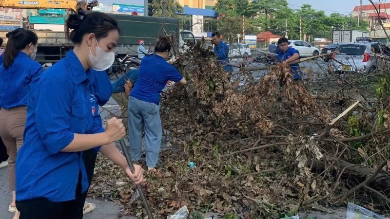 Thu dọn cây xanh gãy đổ sau bão. 