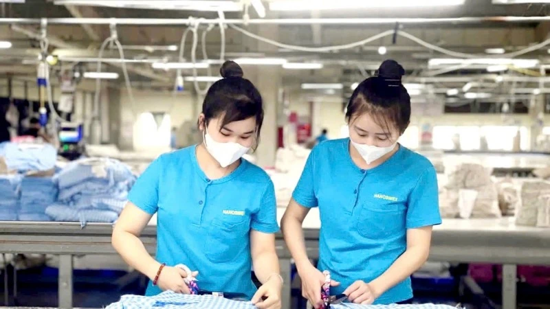 Công nhân nữ làm việc tại cơ sở sản xuất thuộc Tổng công ty cổ phần dệt may Hà Nội (Hanosimex).