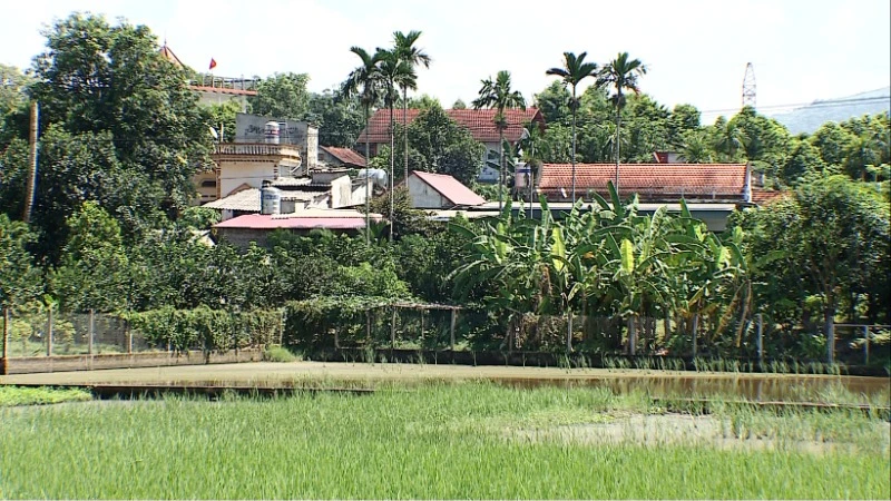 Xây dựng nông thôn mới là nhiệm vụ của cả hệ thống chính trị.