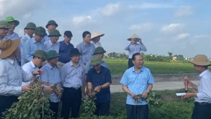 Cán bộ và người dân xã Yên Cường, huyện Ý Yên, tỉnh Nam Định trao đổi kinh nghiệm sản xuất nông nghiệp.