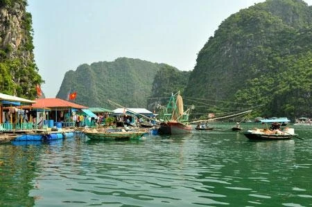 Cảnh sắc Hạ Long.