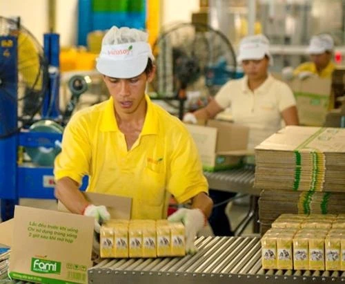 Nhà máy sữa đậu nành Việt Nam tại Quảng Ngãi tạo việc làm cho hơn 1.200 công nhân với thu nhập bình quân 7,5 triệu đồng/người/tháng. Trong ảnh: Dây chuyền đóng gói sản phẩm của Vinasoy. Ảnh: NGUYỄN LU
