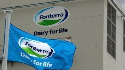 Bột sữa do Fonterra sản xuất không nhiễm khuẩn độc. (Ảnh: Internet)