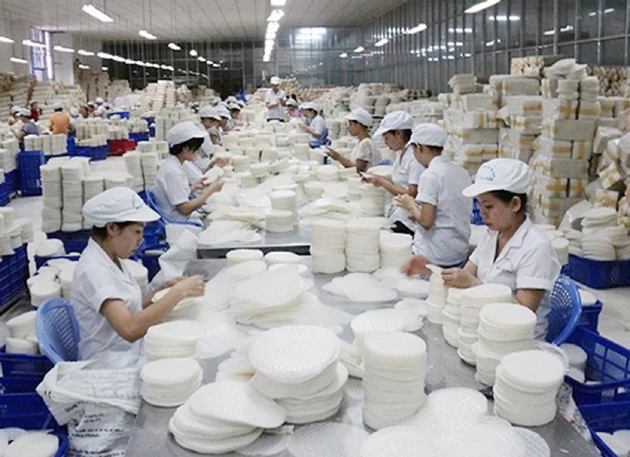 Từ đầu năm đến nay ,Công ty Lương thực Trà Vinh (Tổng công ty Lương thực Miền Nam) xuất khẩu được 61 nghìn tấn gạo,đạt tổng kim ngạch xuất khẩu hơn 11,5 triệu USD.Trong ảnh :Sản xuất bánh tráng tại cô