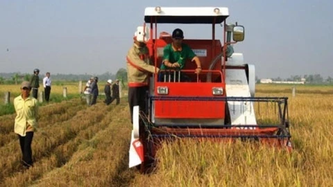 Năm 2013, Kiên Giang dẫn đầu cả nước về sản lượng lương thực, đạt hơn 4,4 triệu tấn.