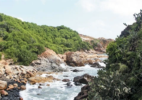 Phú Yên có nhiều đầm, vịnh, bãi tắm đẹp vẻ hoang sơ luôn thu hút khách du lịch.