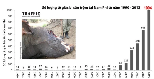 Nam Phi mất 30 cá thể tê giác trong hai tuần đầu năm