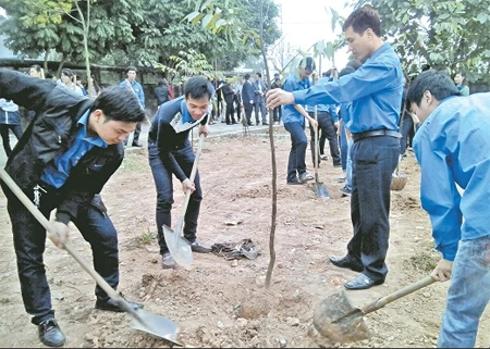 Thanh niên xã Dương Xá, huyện Gia Lâm tham gia trồng cây đầu xuân.