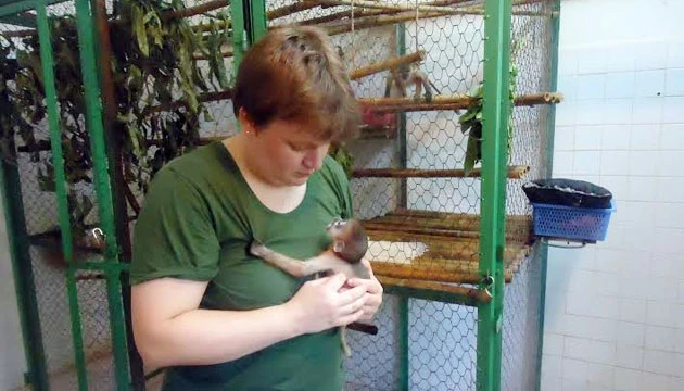 Elke Schwierz và linh trưởng Vooc chà vá chân xám hai tháng tuổi, sinh ra tại Trung tâm cứu hộ.
