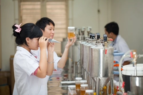 Sinh viên trong giờ thực tập tại Trường đại học Nguyễn Tất Thành (TP Hồ Chí Minh).