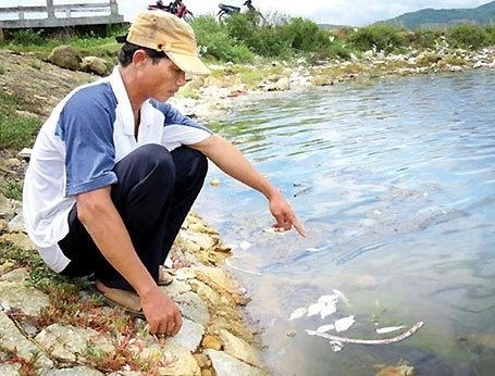 Cá chết tại đồng Cù Lao. (Ảnh: internet).