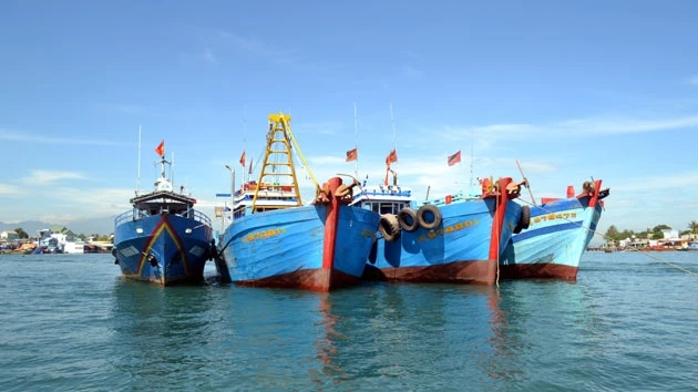 Các đội tàu khai thác hải sản trái phép bị xử phạt hành chính.