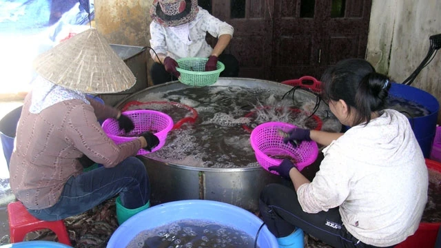 Chuyện nuôi trồng thủy sản ở vùng ven biển Kim Sơn