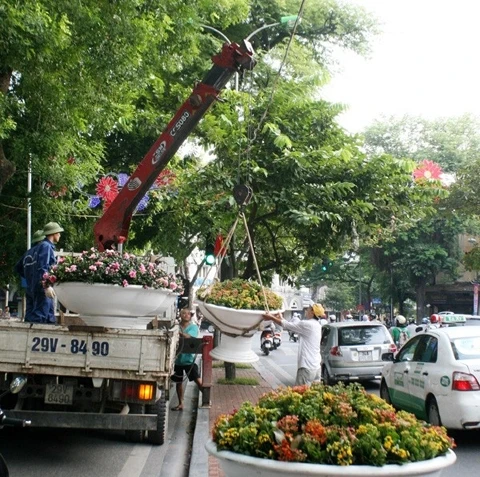 Đặt các chậu hoa tươi trang trí đường phố Hà Nội nhân kỷ niệm 60 năm Ngày giải phóng Thủ đô. Ảnh: LÊ MINH